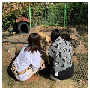 디즈니 정품 니트 숄 팝니다(프리사이즈)색상 옐로우