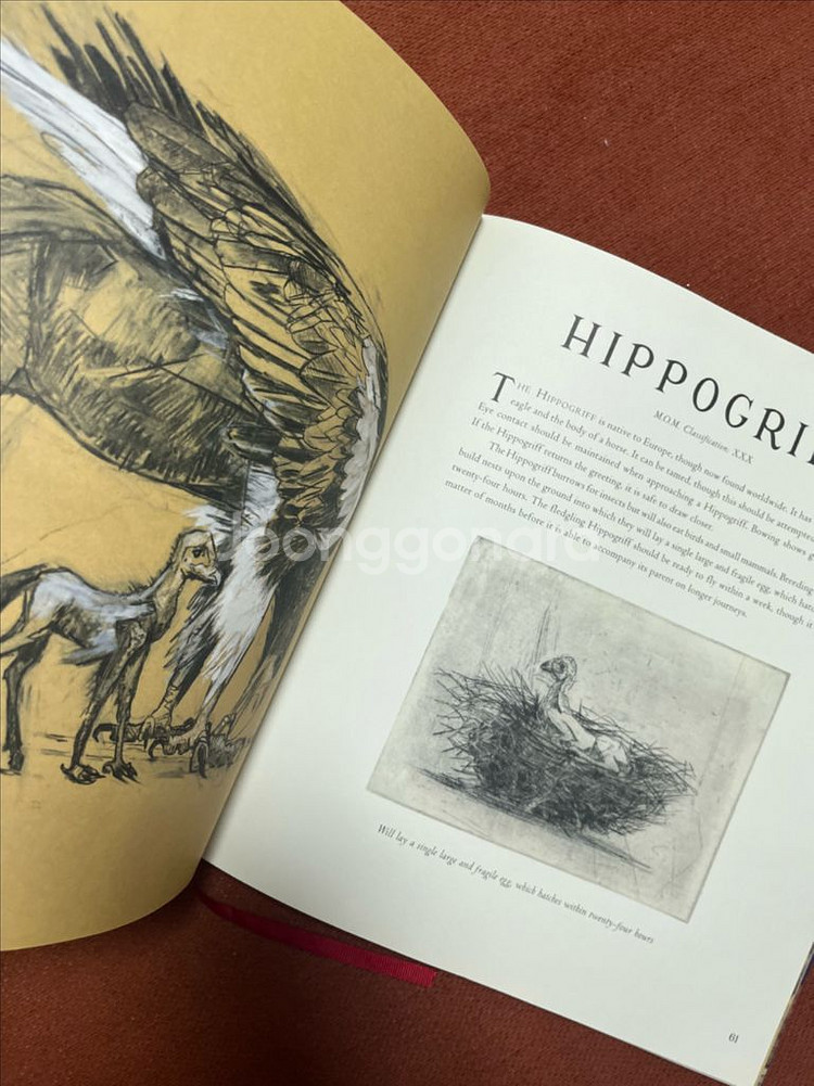 J..K. 롤링의 신비한 동물사전 일러스트레이티드 에디션--2