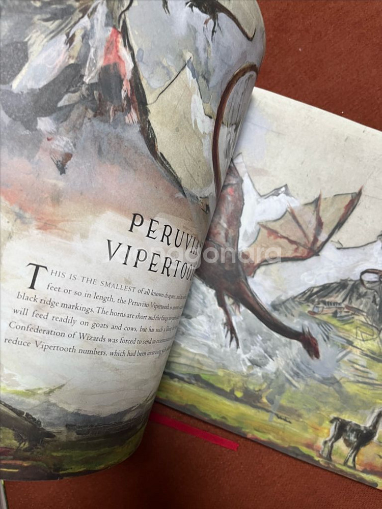 J..K. 롤링의 신비한 동물사전 일러스트레이티드 에디션--3