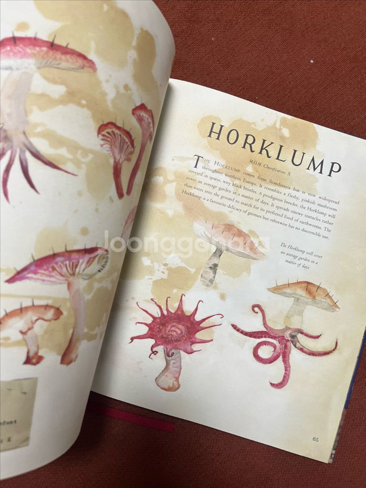 J..K. 롤링의 신비한 동물사전 일러스트레이티드 에디션--7