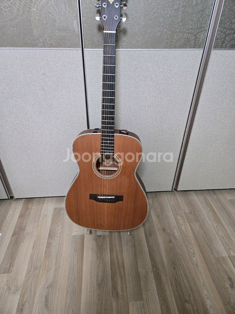 덱스터 ad100s 입문용기타--0