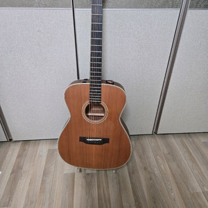 덱스터 ad100s 입문용기타