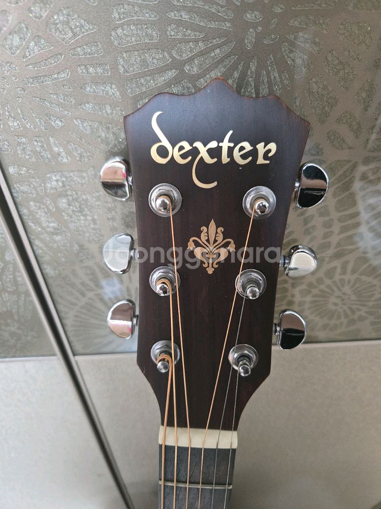 덱스터 ad100s 입문용기타--1