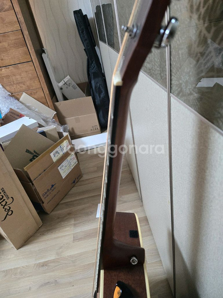 덱스터 ad100s 입문용기타--2