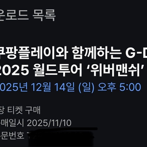 지디 지드래곤 콘서트 막콘 VIP석 이미지