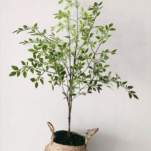 새상품)싱그러운 화초 조화 해초바구니