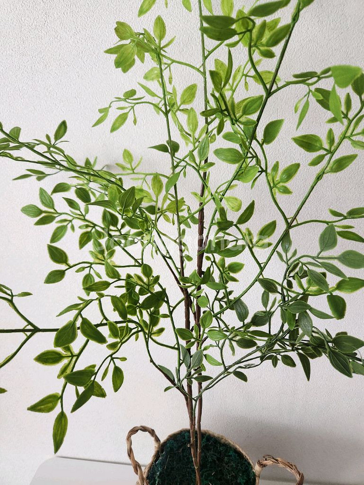 새상품)싱그러운 화초 조화 해초바구니--2