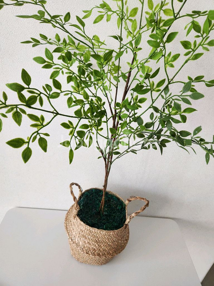 새상품)싱그러운 화초 조화 해초바구니--5