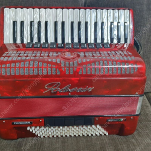 폴베리니 아코디언 37건반