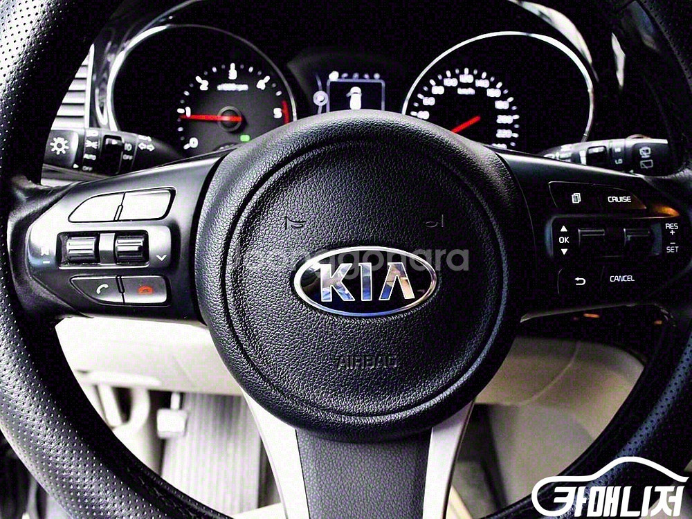[기아]올 뉴 카니발 디젤 9인승 노블레스 #가을특가--7