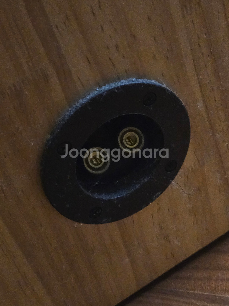 자작 원목 플로어스탠딩 스피커 한 쌍입니다--4