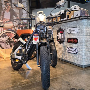 (새제품)없어서 못산다는 이지베이션 BS슬릭 팻바이크 전기자전거