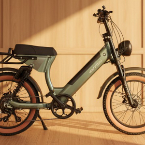 알톤 파이톤 20 전기자전거 새거팝니다 이미지