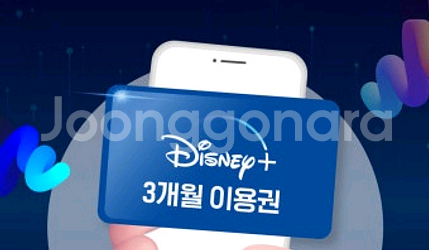 OTT 넷플릭스 디즈니플러스 스탠다드 3개월 이용권--0