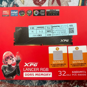 ADATA DDR5 6000 CL30 64GB 팝니다