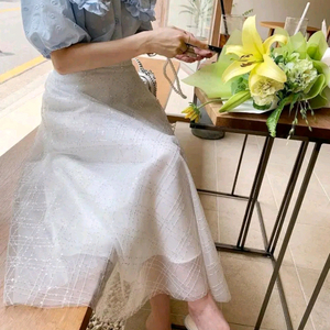 바이씨니 샤이니 스커트 프리사이즈 이미지