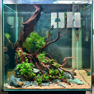 성형유목 레이아웃 어항 풀세트(배송가능)