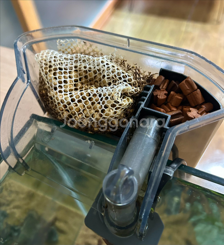 성형유목 레이아웃 어항 풀세트(배송가능)--2