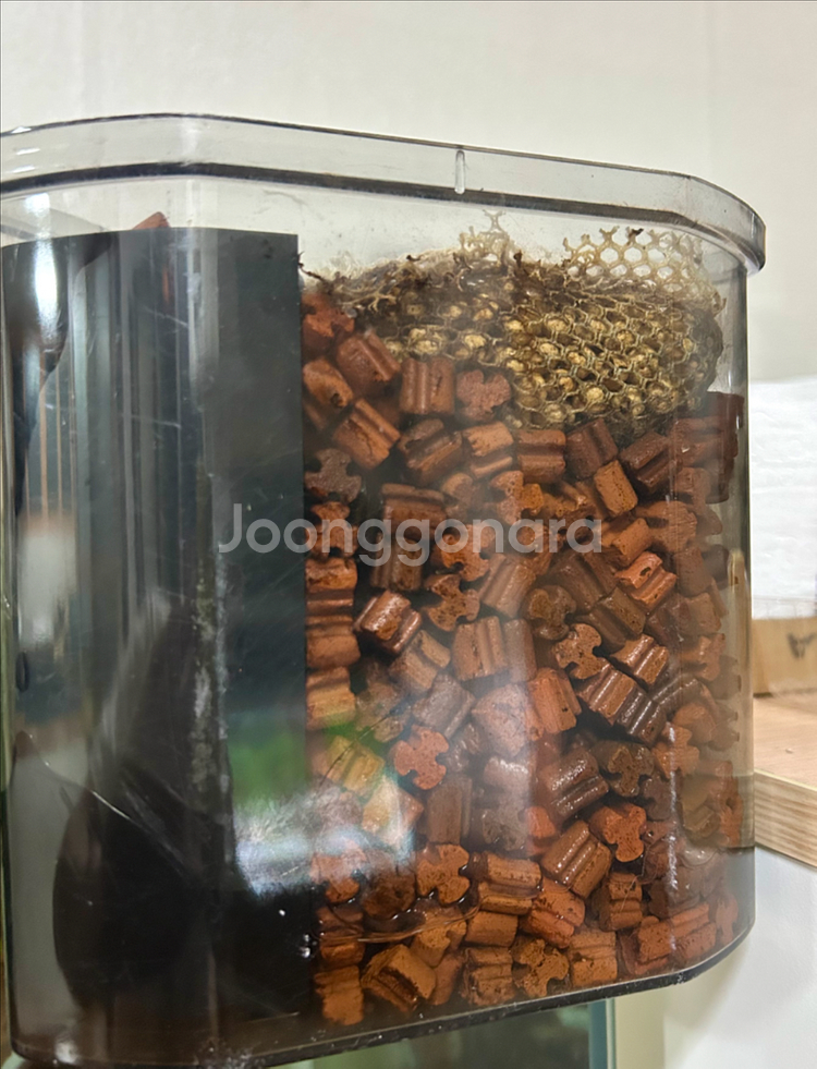 성형유목 레이아웃 어항 풀세트(배송가능)--3