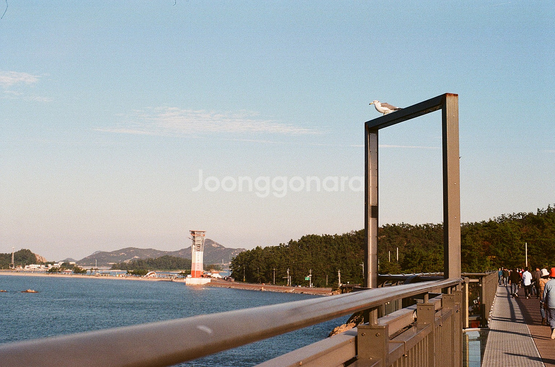 펜탁스 ME Super 필름카메라--4