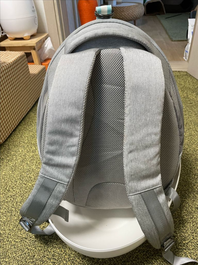 에그쉘 고양이 이동가방 이미지