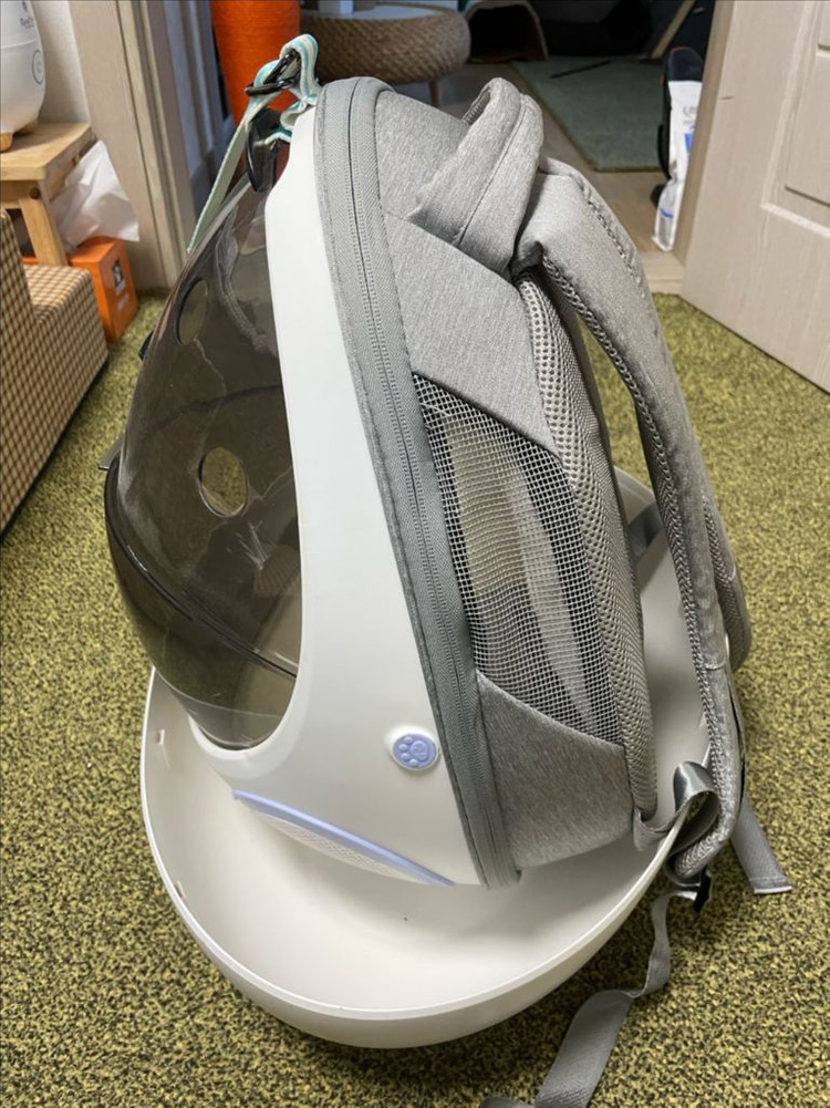 에그쉘 고양이 이동가방 이미지