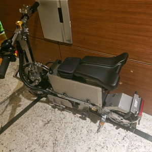 위페드. 뉴콤포2. 전동 킥보드