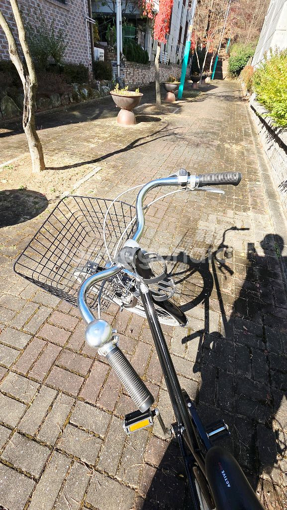 자이크 바구니 자전거 s급 판매--2