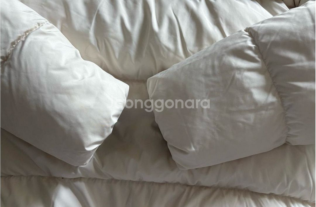 디스커버리 푸퍼 패딩 여성 95 아이보리--5