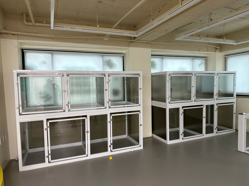 강아지 호텔장 케이지--1