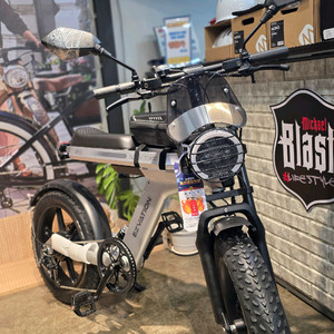 [새상품]없어서 못산다는..이지베이션 슬릭엣지 전기 자전거