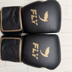 플라이 프리미엄 16온스 스파링 글러브