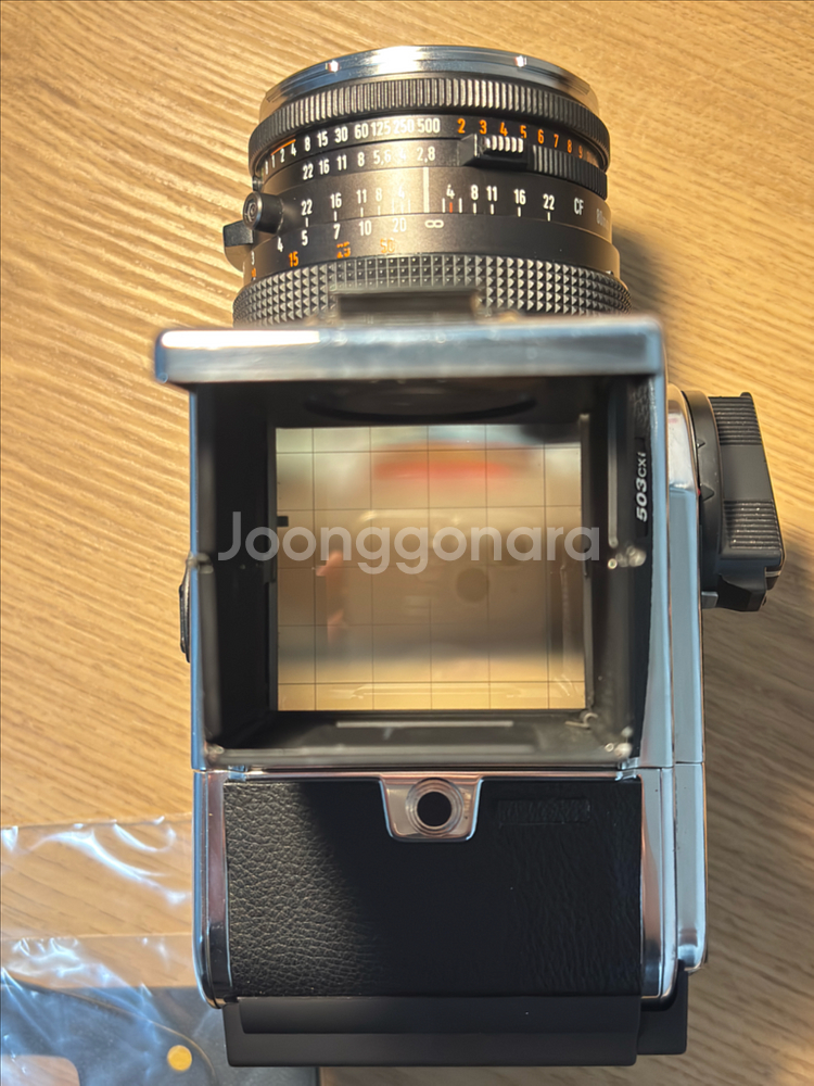 핫셀블라드 503cxi, cf80mm, cfi50mm, a24 필름백--7