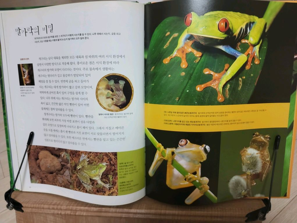 자연을 보는 새로운 눈--2