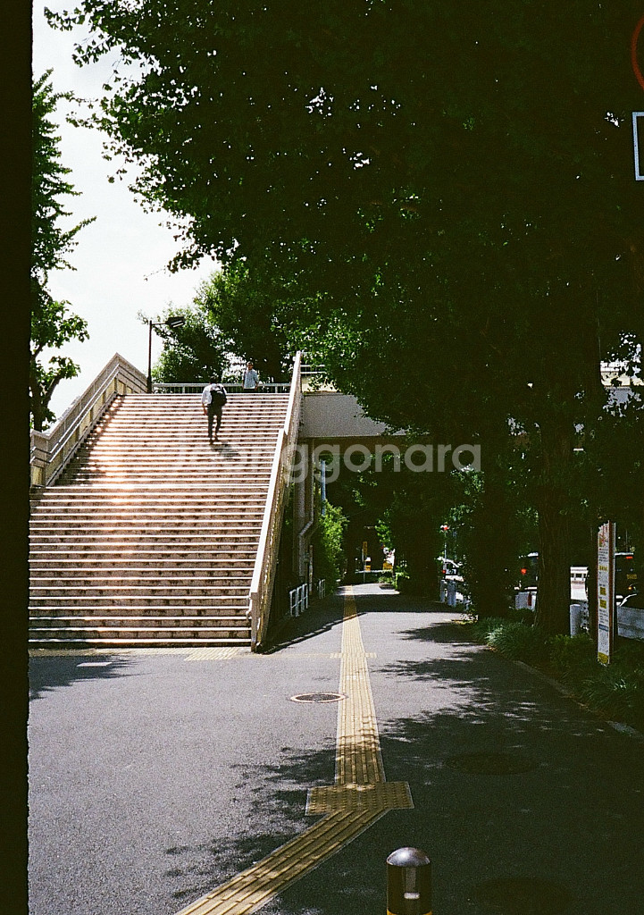 펜탁스 17 필름 카메라--5