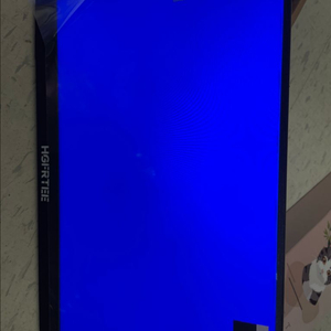 HGFREE 포터블 모니터