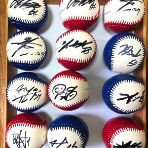 2017년 기아타이거즈 우승멤버 싸인볼 (투톤 로고볼 - 안전구)