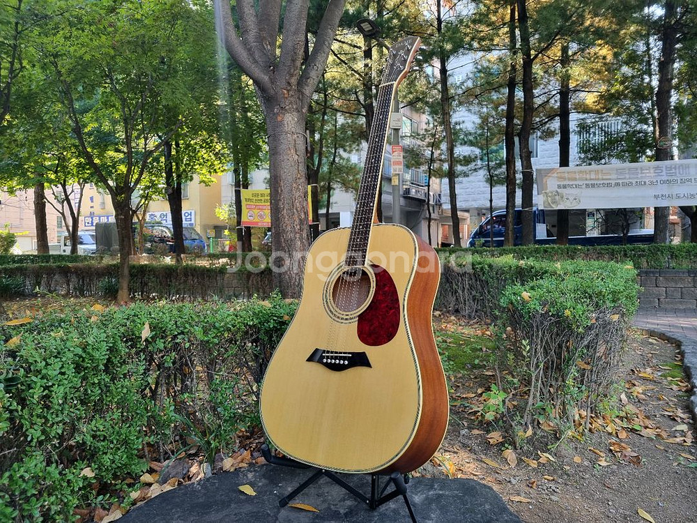 입문용 통기타 인기제품 데임 유리상자 이세준 기타 판매합니다--0