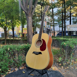 입문용 통기타 인기제품 데임 유리상자 이세준 기타 판매합니다