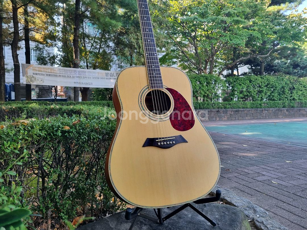 입문용 통기타 인기제품 데임 유리상자 이세준 기타 판매합니다--1