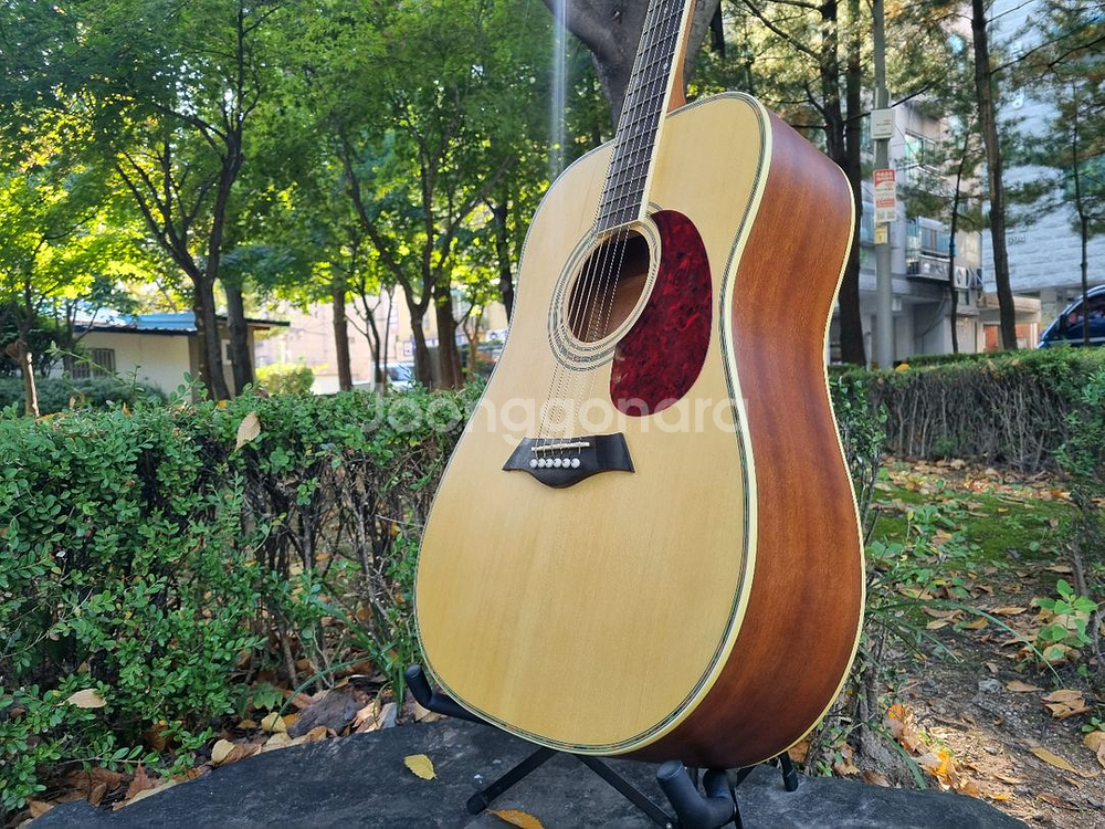 입문용 통기타 인기제품 데임 유리상자 이세준 기타 판매합니다--2