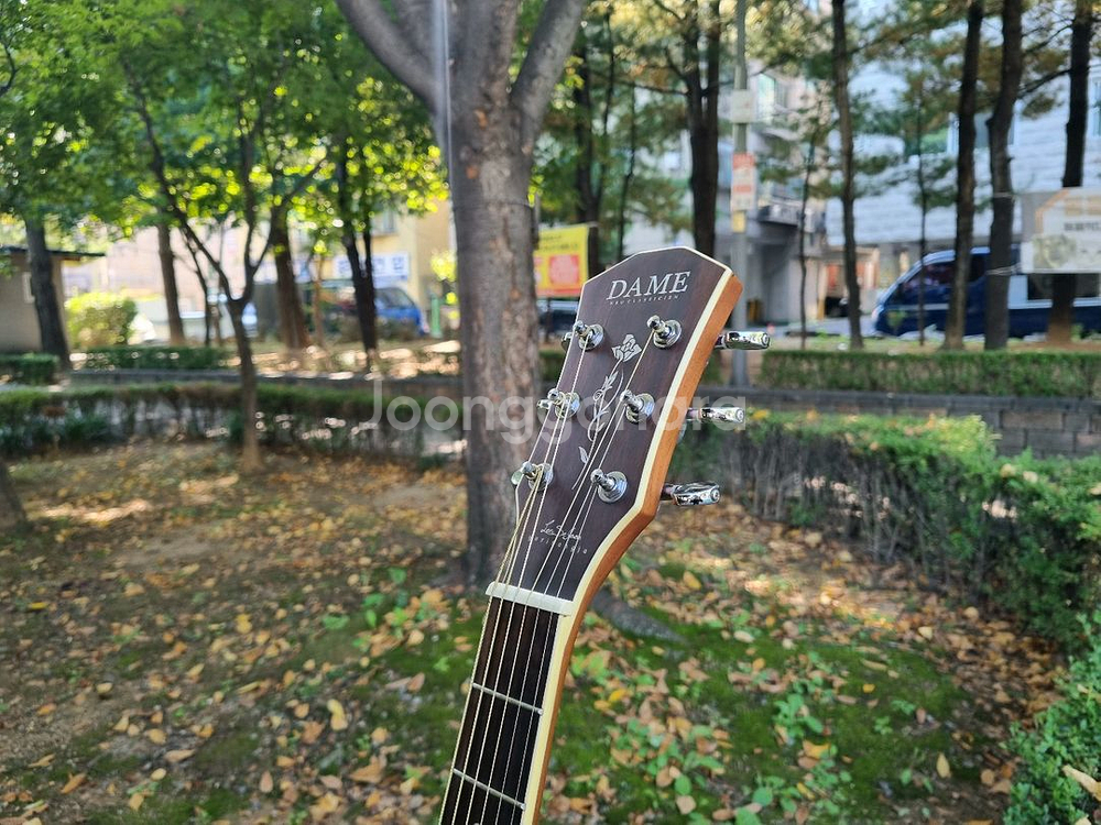 입문용 통기타 인기제품 데임 유리상자 이세준 기타 판매합니다--3