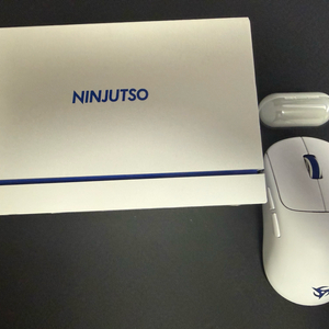 닌젓소 텐 에어 8k 마우스