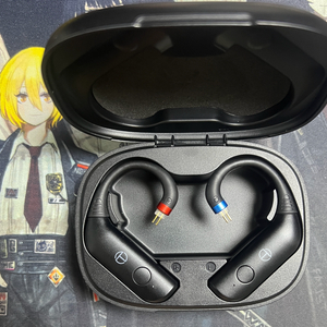 TRN BT20pro 이어폰 모듈 판매#수월우#씨오디오#텐치짐#트루스이어