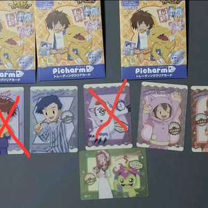 디지몬 어드벤처 Picharm 포토 카드 쉬라몬 팔몬 정석 미나 소라 히카리 한솔