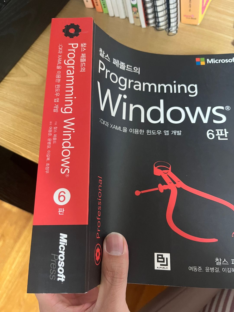 찰스페졸드의 Programming Windows 6판 | 중고나라 - 안심되는 중고거래