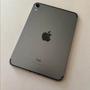 아이패드미니6 셀룰러 64g 스그