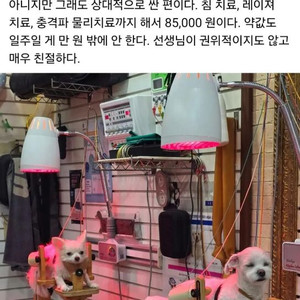 엠팍 아이디 삽니다(1개월 이상) 이미지