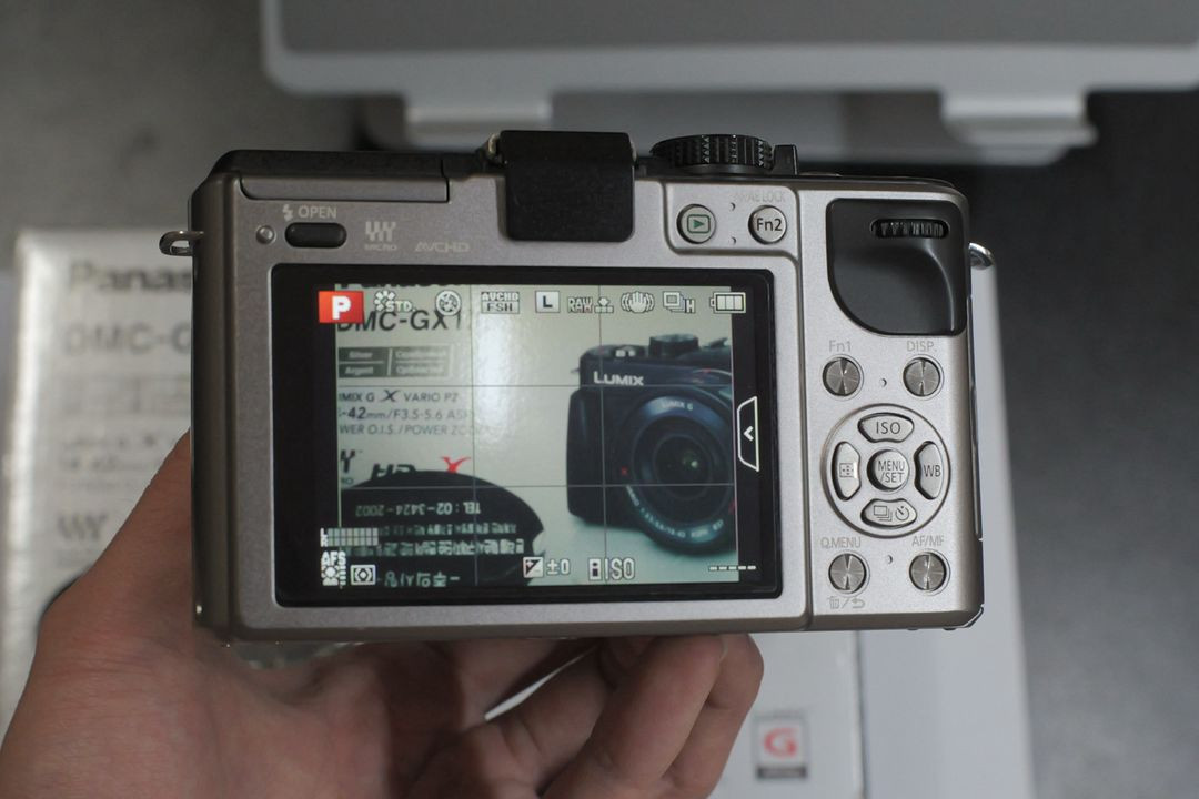 파나소닉 루믹스 GX1 + 14-42 렌즈--9