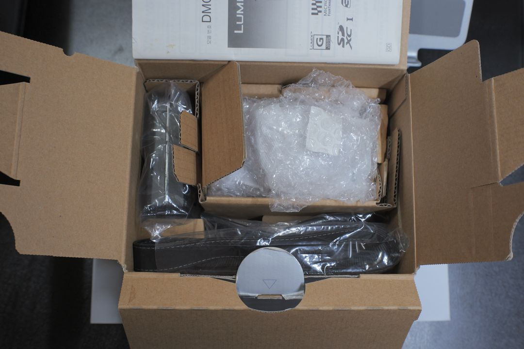 파나소닉 루믹스 GX1 + 14-42 렌즈--1